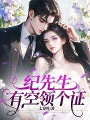 主角叫纪先生的